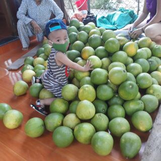 Thanh trà Lương Quán Thủy Biều Huế