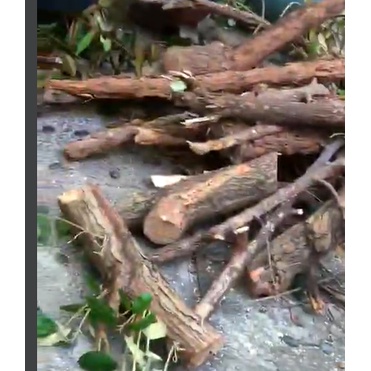 CÒN HÀNG NHA-ALO SHOP SHIP VÌ SIÊU NẶNG- Lũa Gỗ Vú Sữa Ghép Lan Nhà mới chặt Siêu rẻ Ship 30 phút.PHÚ NHUẬN