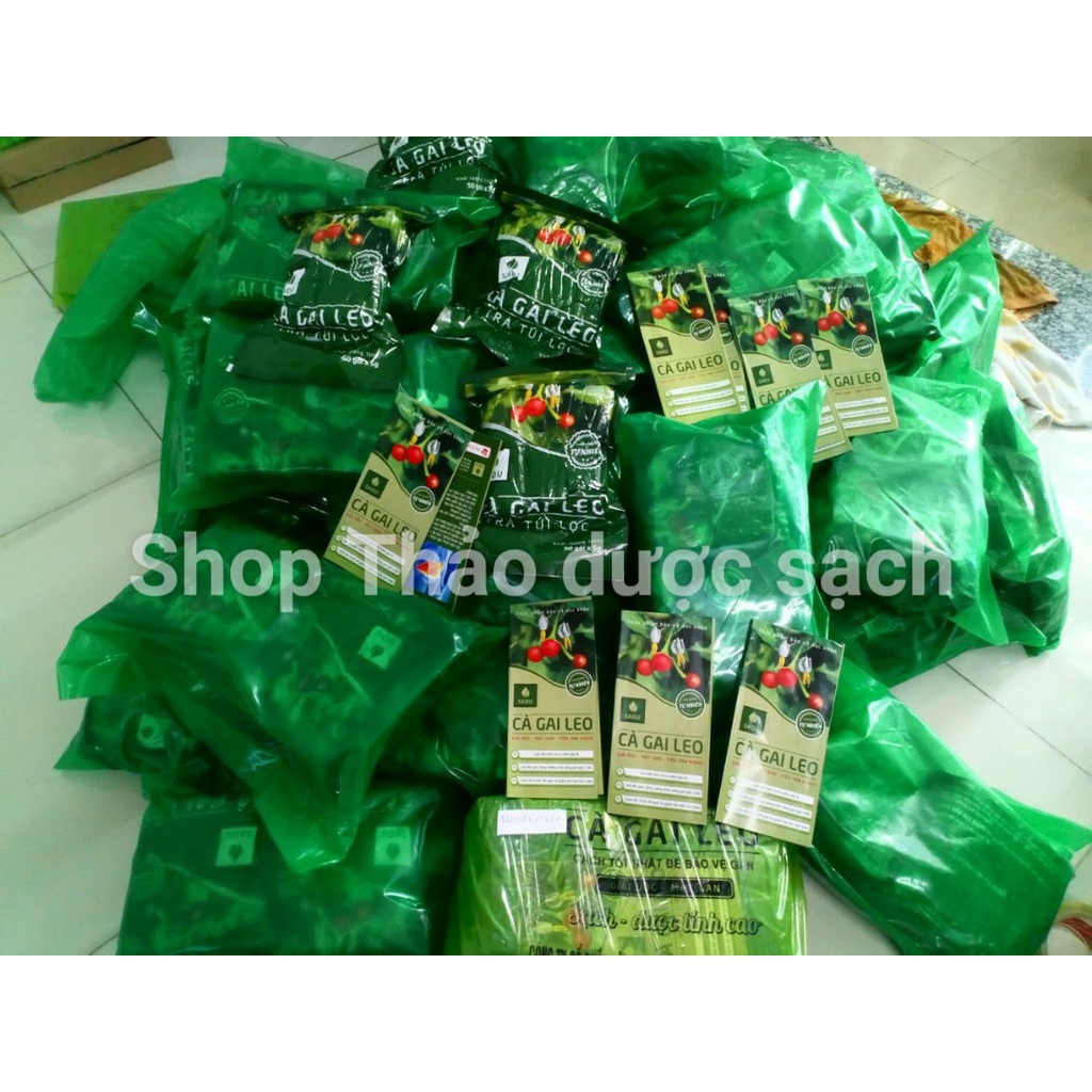 1 bịch trà cà túi lọc cà gai leo Sadu 250g ( 5g x 50 túi lọc ) | BigBuy360 - bigbuy360.vn