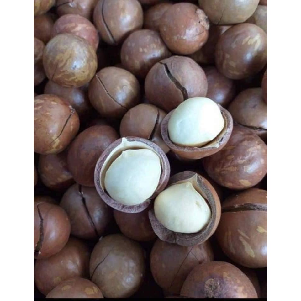 Macca Hữu cơ [2kg hạt Giá Xưởng], 100% Organic, cam kết về chất Lượng, tặng kèm dụng cụ tách hạt | BigBuy360 - bigbuy360.vn