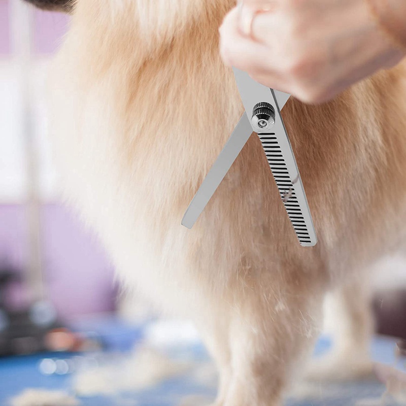 Bộ Dụng Cụ Kéo Cắt Tỉa Lông Cho Thú Cưng