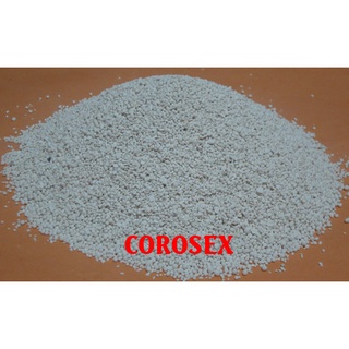 Hạt corosex usa chính hãng