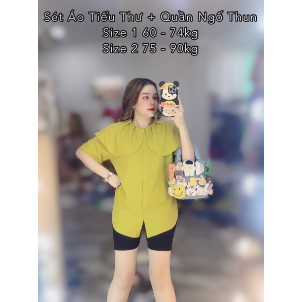 Áo Tiểu Thư Bigsize 60 - 90kg