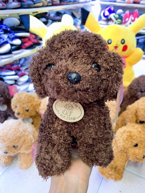 Gấu bông chó Poodle ngồi