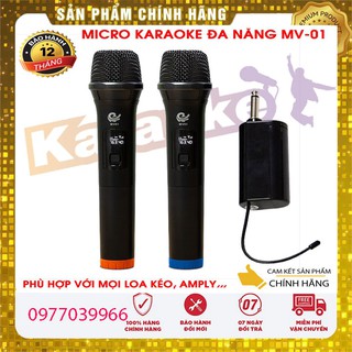 Micro Karaoke Shubole SV-8