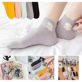 Sét 10 đôi tất Gấu, tất Hoa cúc siêu kute
