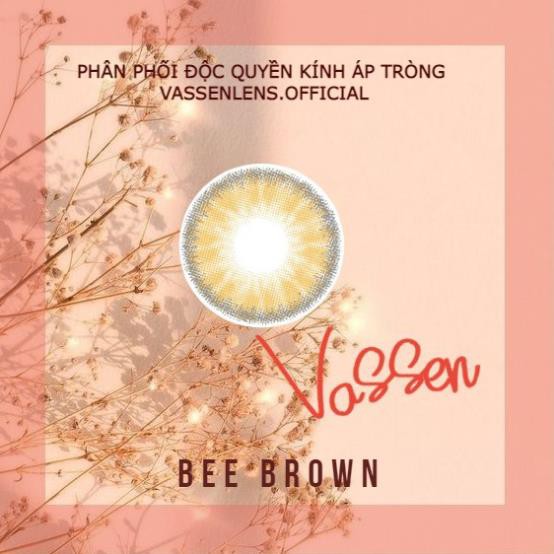 [Tặng kèm khay] Kính áp tròng 1-6 độ Hàn Quốc Lens Bee Brown Silicone Hydrogel