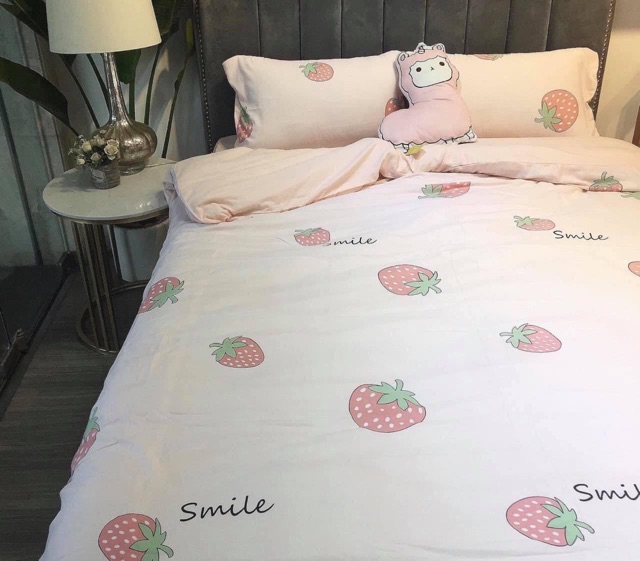 Chăn ga mẫu năm 2019 | BigBuy360 - bigbuy360.vn