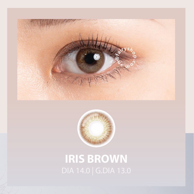 Kính Áp Tròng Iris Brown 14.0mm - Kính Áp Tròng FAIRY SHOP CONTACT LENS độ cận 0 đến 6