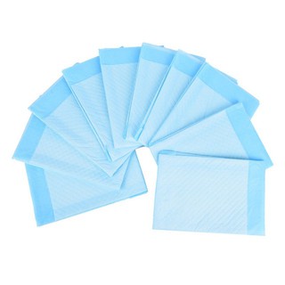 Tã Lót Vệ Sinh Cho Chó Mèo (Mẫu Khác Nhau Tùy Lần Nhập)
