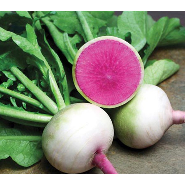 ( SIÊU HOT ) Hạt giống Củ Cải Xanh Ruột Đỏ 0.5gr (củ cải ruột dưa)