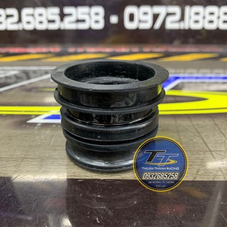 CO PÔ E SPORT LỚN - RGV