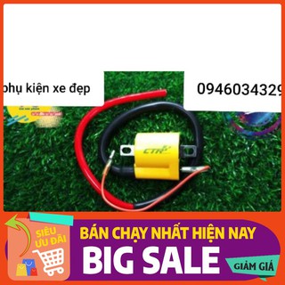 Full bộ mobin sườn và ic mở tua ATE gắn cho waves 110