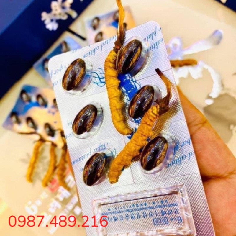 Thiên Sâm Đông Trùng Hạ Thảo Hàn Quốc Hộp 180 Viên
