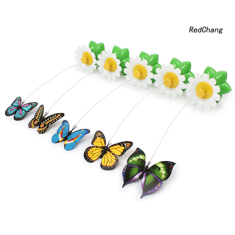 Đồ Chơi Tương Tác Thú Vị Cho Mèo