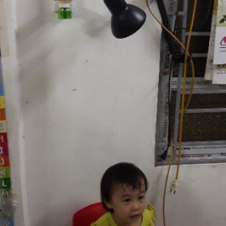 Đèn đuổi muỗi tinh dầu Hàn Quốc