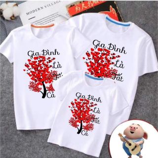 Combo bộ ngu