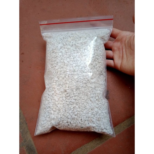 Đá trân châu Pelite trắng - NeyuhGarden