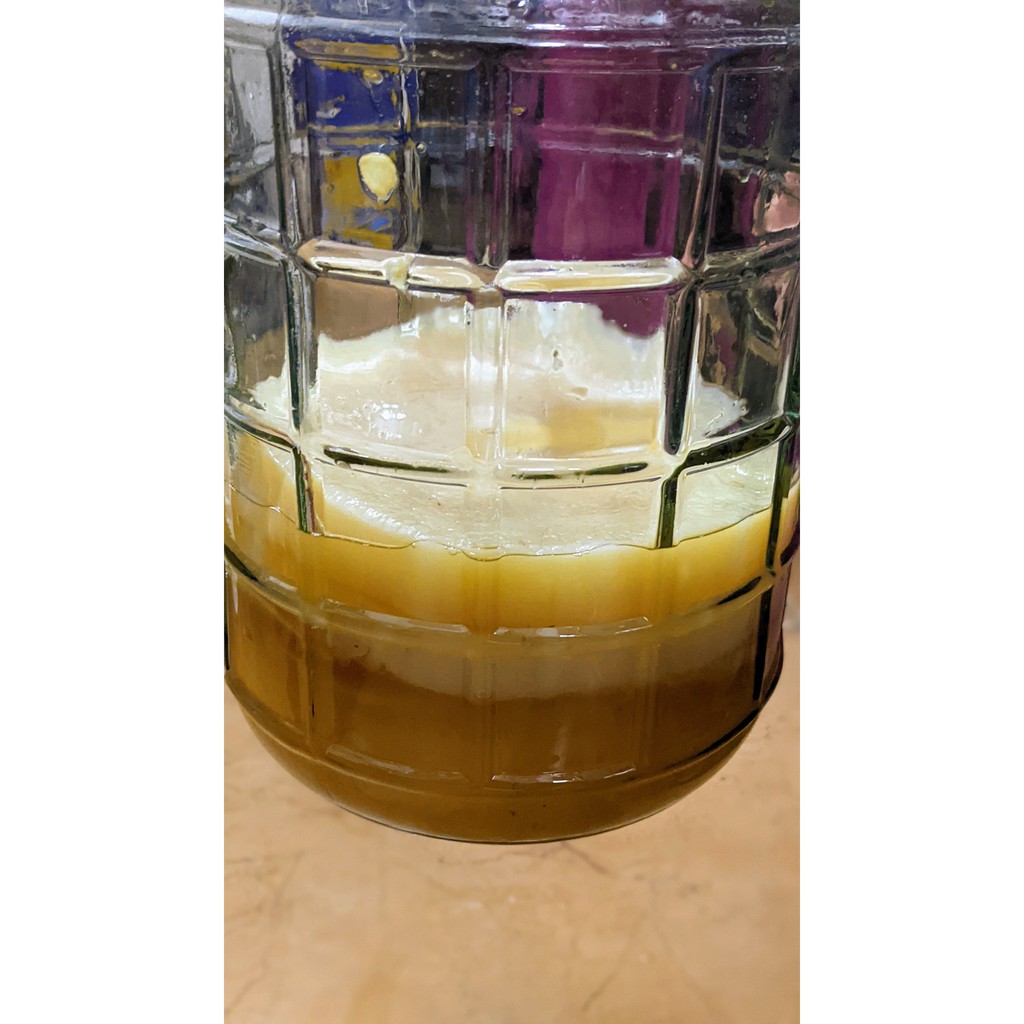 SCOBY Organic - Trà Kombucha Hữu Cơ | BigBuy360 - bigbuy360.vn