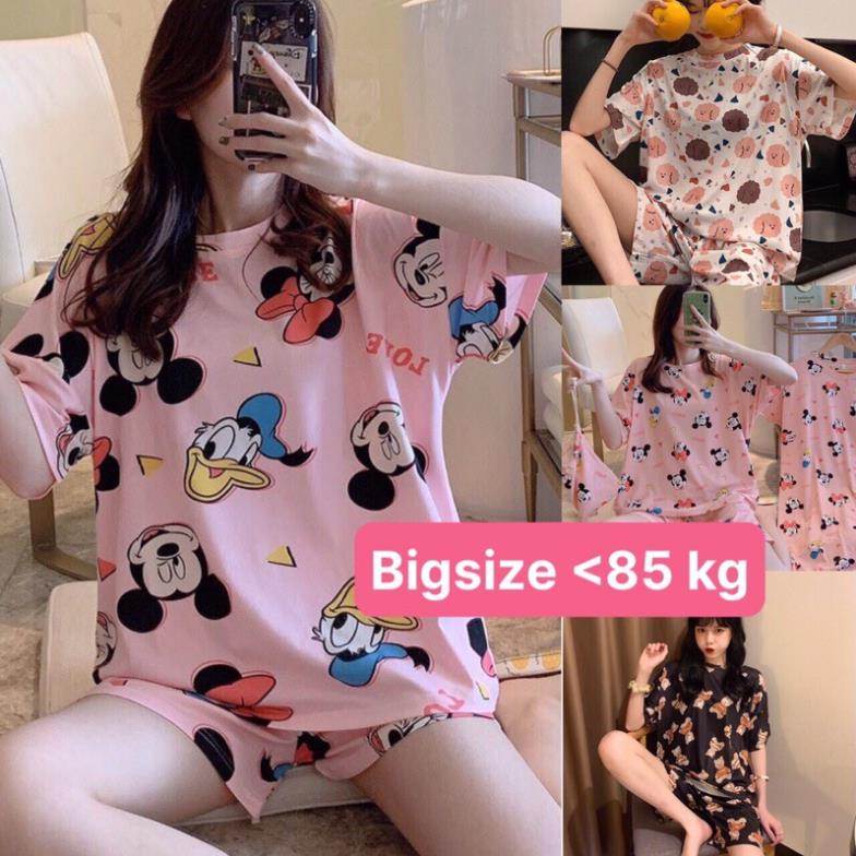 Bộ đồ ngủ Bigsize 70-85kg, Vải Thun Cotton nhẹ mát mỏng siêu thoáng !
