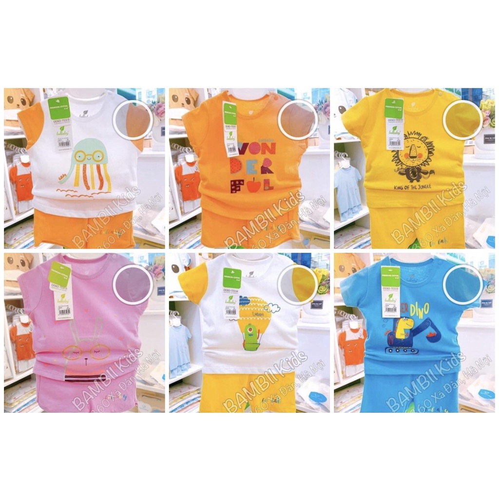 (Sz 6m-4y)