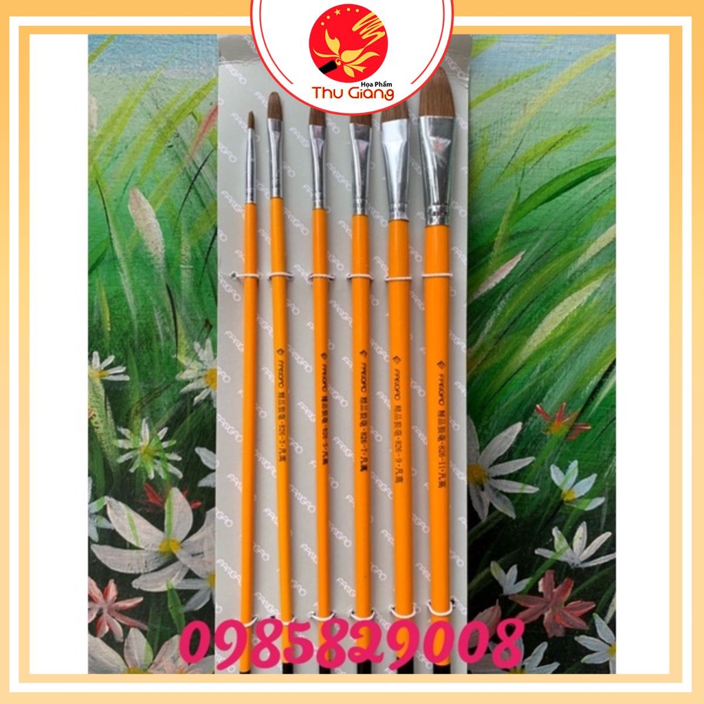 [SALE] Bộ bút cán vàng 6 chiếc vẽ acrylic,sơn dầu