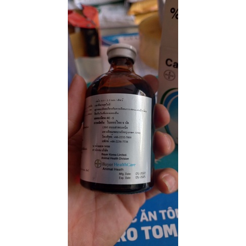 Catosal 10% thái lan