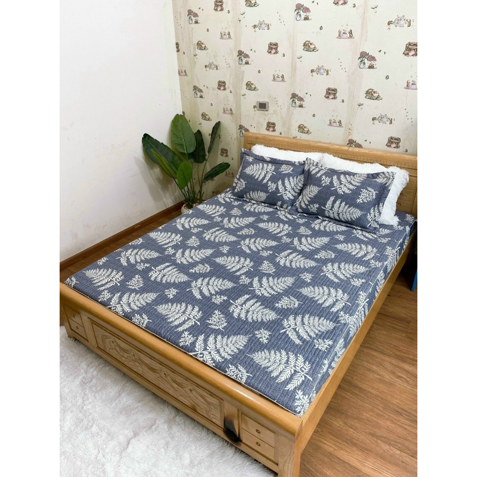 Ga gối trần chun Cottong Hàn , ga gối cottong cao cấp full zize