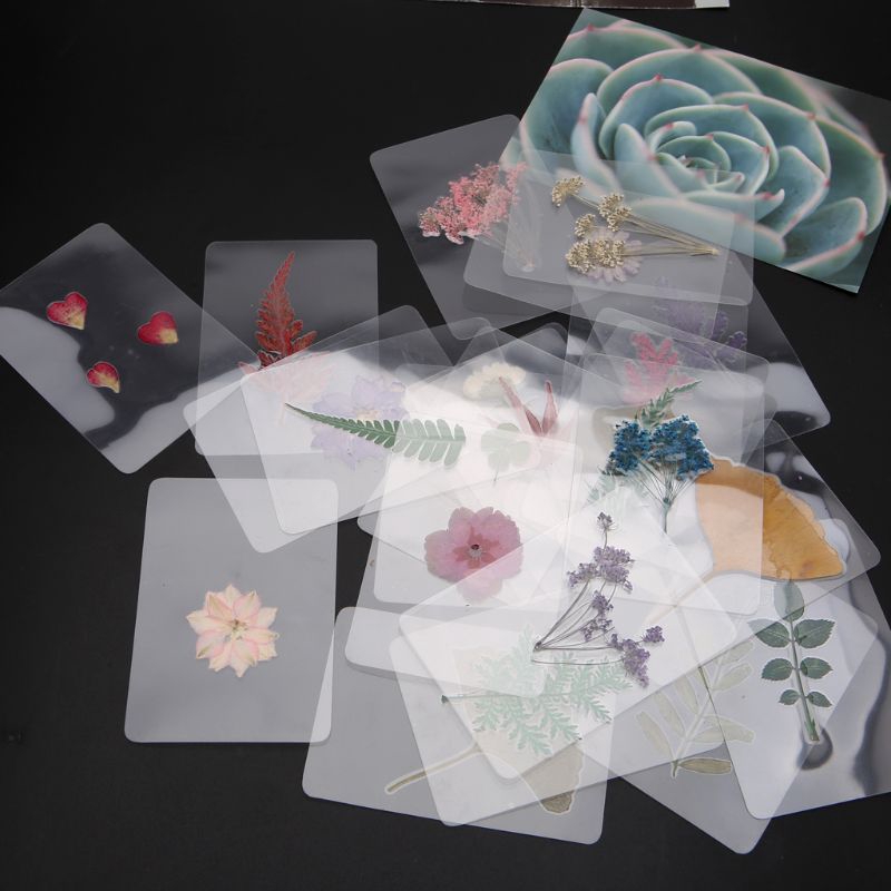 Mẫu hoa lá khô làm trang sức