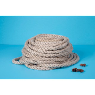 Dây thừng 12 ly (Chiều dài 20m)