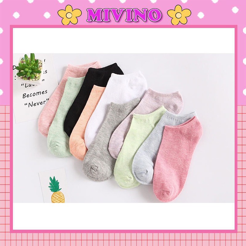 Set 10 tất cổ ngắn Mivino vớ nữ cotton xuất nhật tiện dụng cực xịn CT5