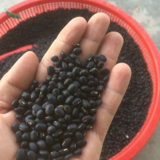 1ký đậu đen xanh lòng