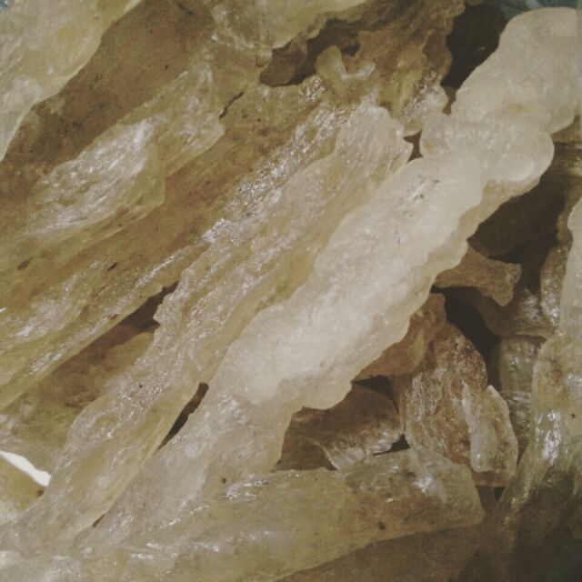 Mũ trôm thỏi Ninh Thuận 1kg
