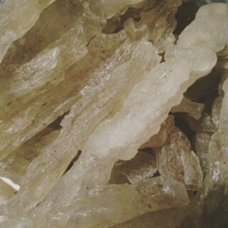 Mũ trôm thỏi Ninh Thuận 1kg
