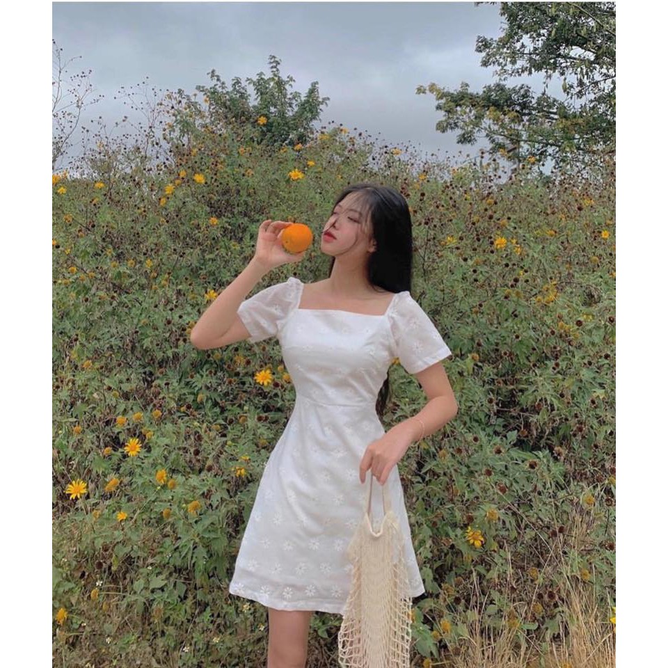 ĐẦM TRẮNG HOA CÚC