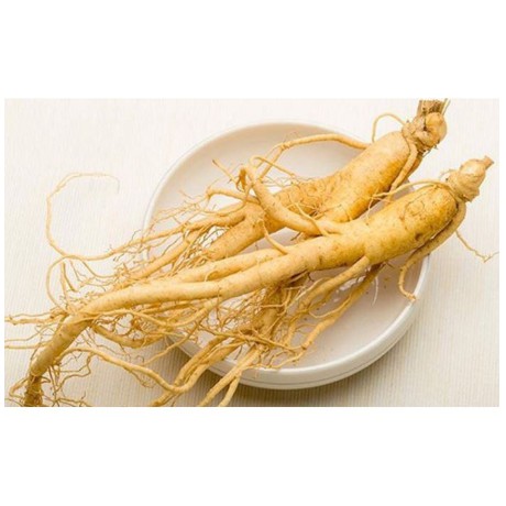 500gr Mặt nạ dẻo Hồng Sâm handmade