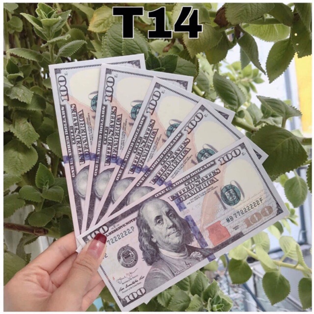 10 bao lì xì 2 đô la, 100 đô la giấy dày C150