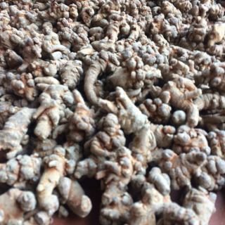 tam thất bắc củ khô loain 7 củ .........................................................................................