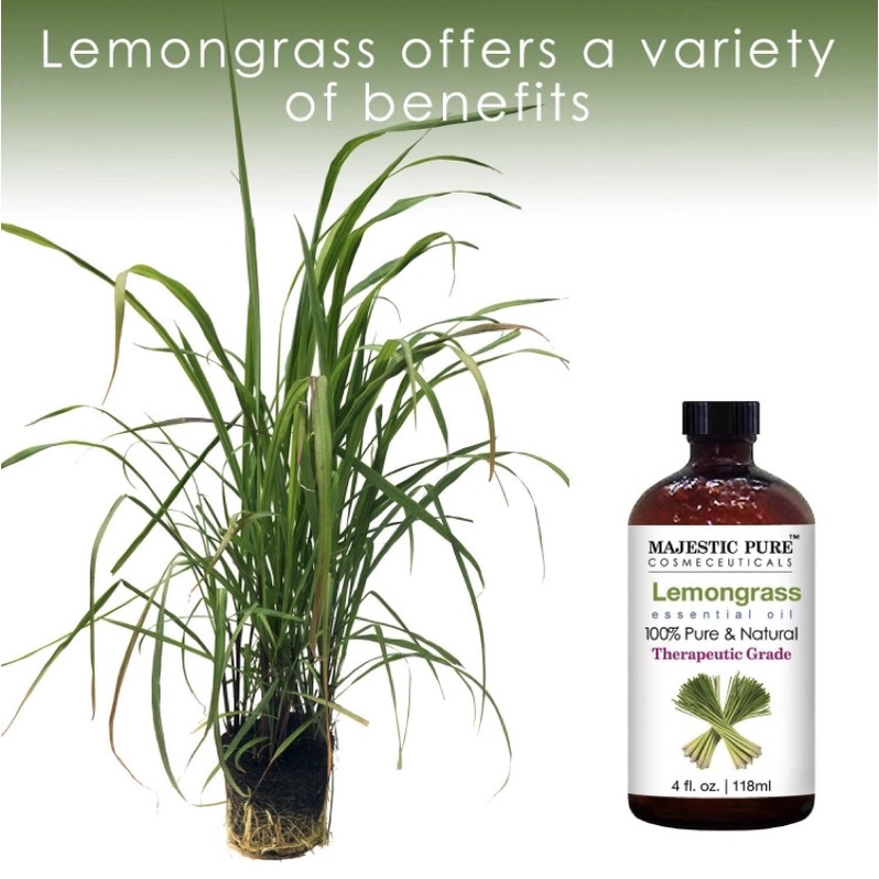 Tinh dầu xả chanh nguyên chất 100% Majestic Pure Lemongrass Essential Oil 118ml USA