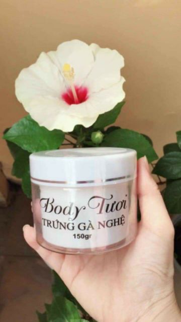 Body tươi trứng gà nghệ