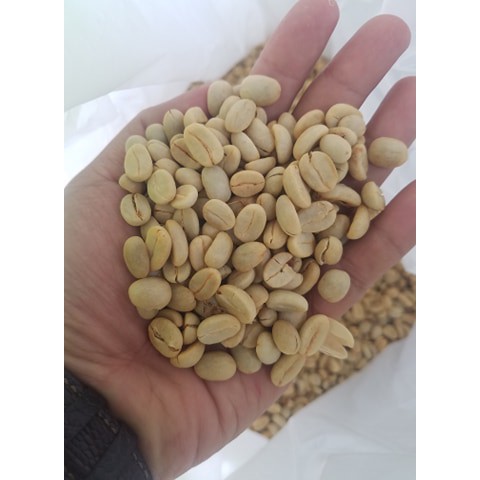 1Kg Cà Phê Typica Cầu Đất ( blend) Nhân Xanh Chưa Rang