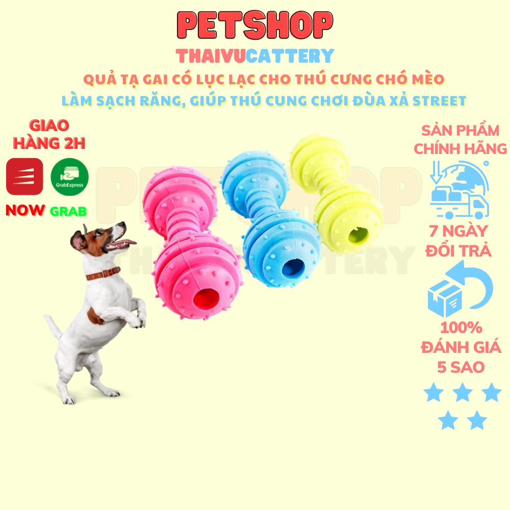 Quả Tạ Gai Có Lục Lạc Cho Thú Cưng Chó Mèo