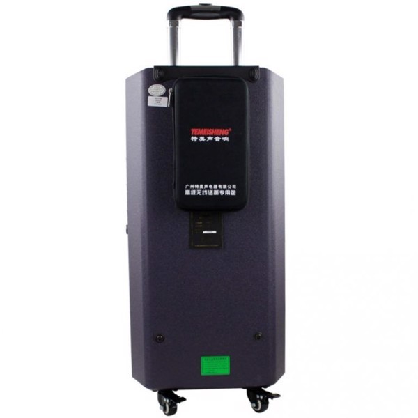 TEMMEISHENG GD15 - 08