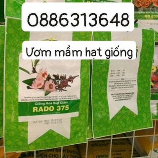 Hoa bụp giấm (2g)