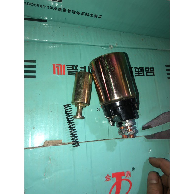 Chuột đề lai 12v 24v