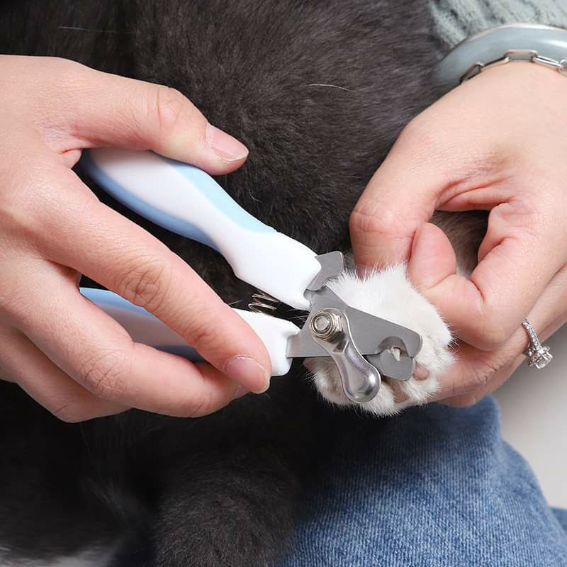 [Mã PET50K giảm Giảm 10% - Tối đa 50K đơn từ 250K] Kiềm cắt móng cho chó mèo