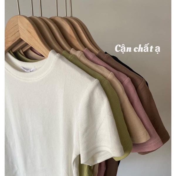 Áo croptop tổ ong bozip cổ tròn basic tiểu thư Flashsaleshop 👉 Phông trơn cộc tay đơn giản crt nữ