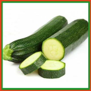 Hạt giống bí ngòi cao sản - Dự án phát triển Nông nghiệp Đô thị TUHAi