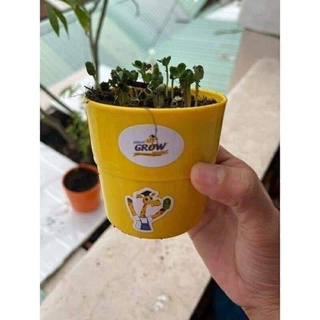 Bộ đồ chơi làm vườn Grow