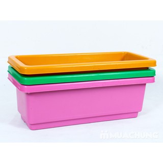 --- Combo 5 chậu chu nhật thong minh dài 48 cm chất, giá rẻ.